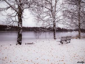 Autumn Snow III