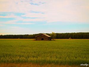 Countryside I