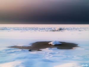 Icescape IV