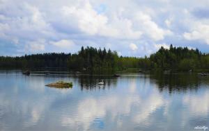 Swan Lake (summer)