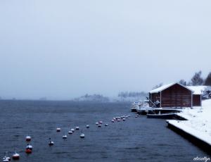 Winter Dock 